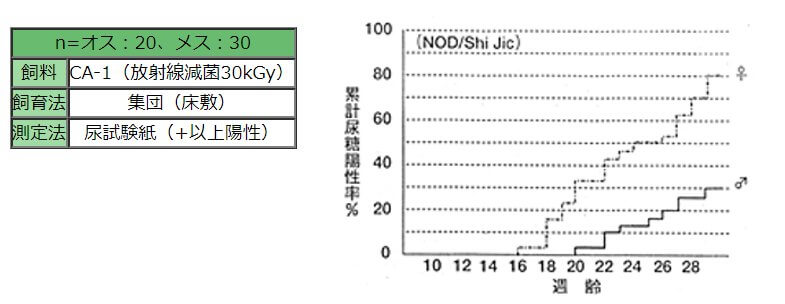 NOD/Shi Jicの累計尿糖陽性率