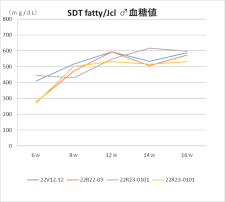SDT fatty/Jcl♂血糖値