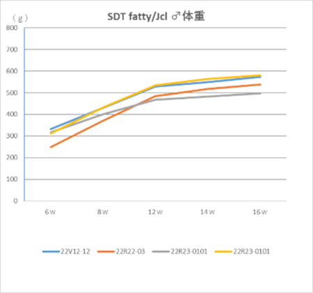 SDT fatty/Jcl♂体重