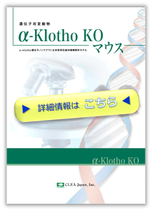 α-klotho_ko_pdf_thumbnail.png