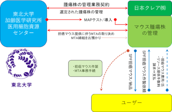 販売体制図