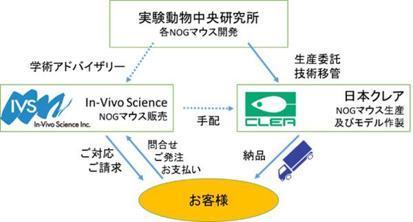 NOGマウス関連における日本クレアの生産体制