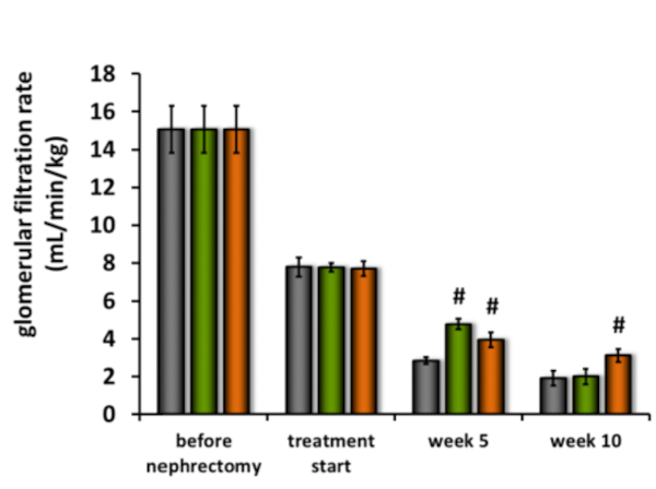 Demonstrated Add-On Efficacy: Transcutaneous GFR Clearance Tracking in SDT Fatty Rat