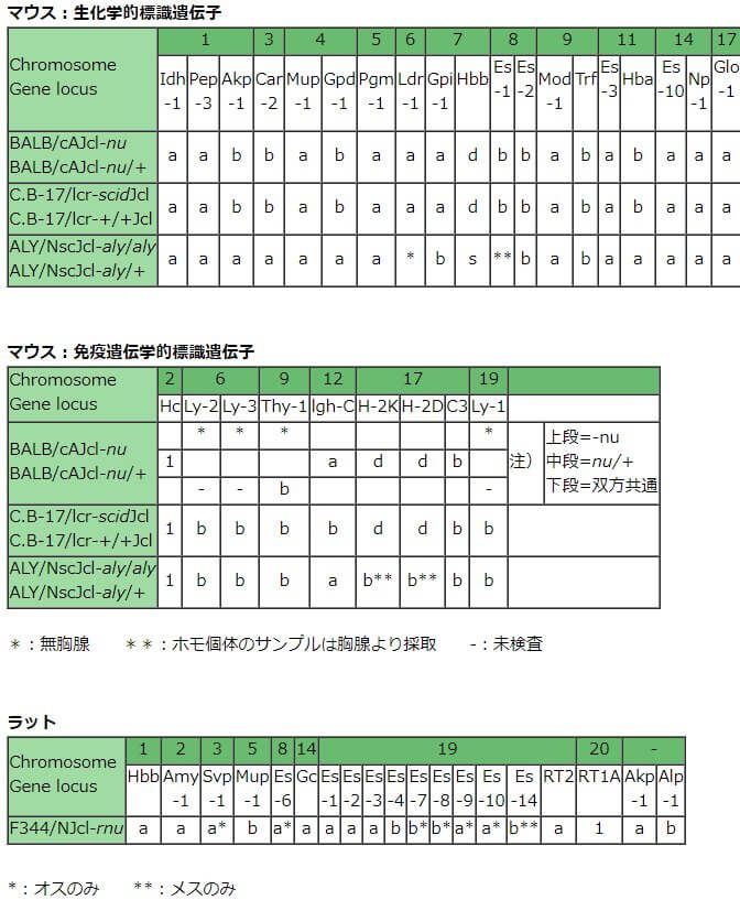 遺伝子学的プロフィール