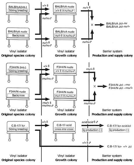 Methods of production and maintenance