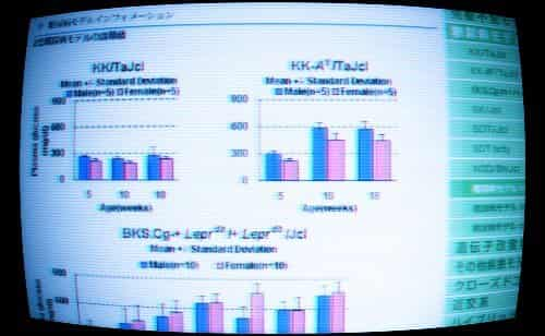 Diabetes Model Information-1