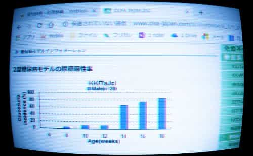 糖尿病モデル インフォメーション2