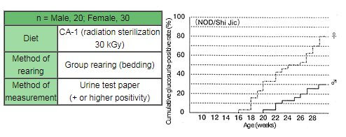 Cumulative glucosuria-positive rates of type 1 diabetes model<br>Cumulative glucosuria-positive rates of NOD/Shi Jic