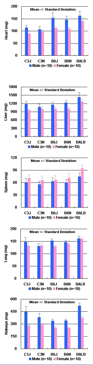 Comparison of Major Organ Weights