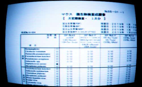 最新検査成績表<br><font size="-1">Latest Microbiological Test Results</font>