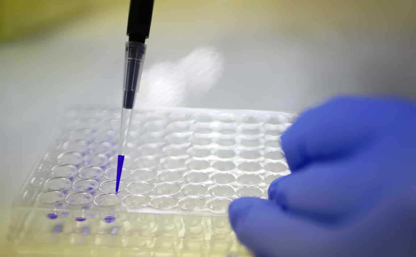 Sterilization effect of Co60 γ rays