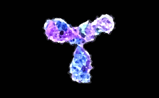 Monoclonal Antibody Creation