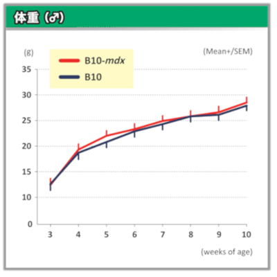 B-10 mdx マウス(♂)の体重グラフ