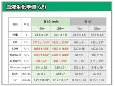 B-10 mdx マウス(♂)の血液生化学値