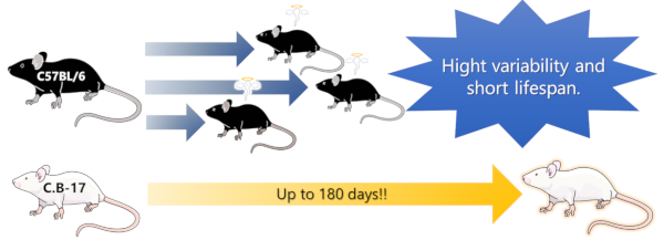 Advantage 2: Long-term survival rate.