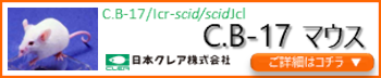 C.B-17/Icr-scid/scidJcl商品ページ用バナー