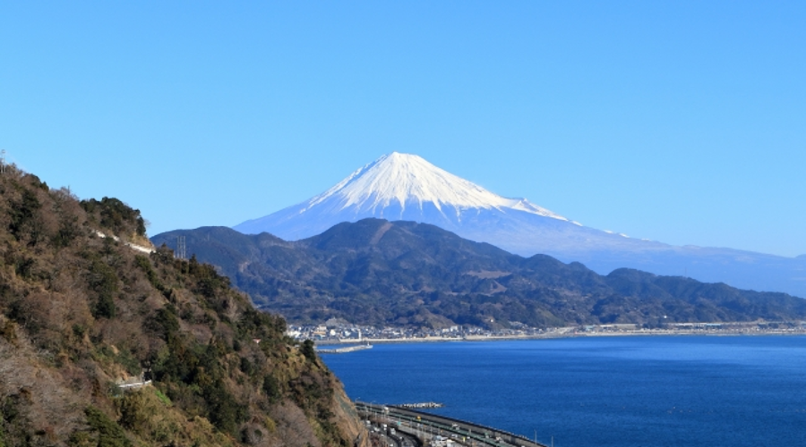 CLEA Japan Academic Presentation Archive (学術発表アーカイブ)：Marmoset第38回 日本薬物動態学会: September 28, 2023 静岡グランシップ in Shizuoka, Japan