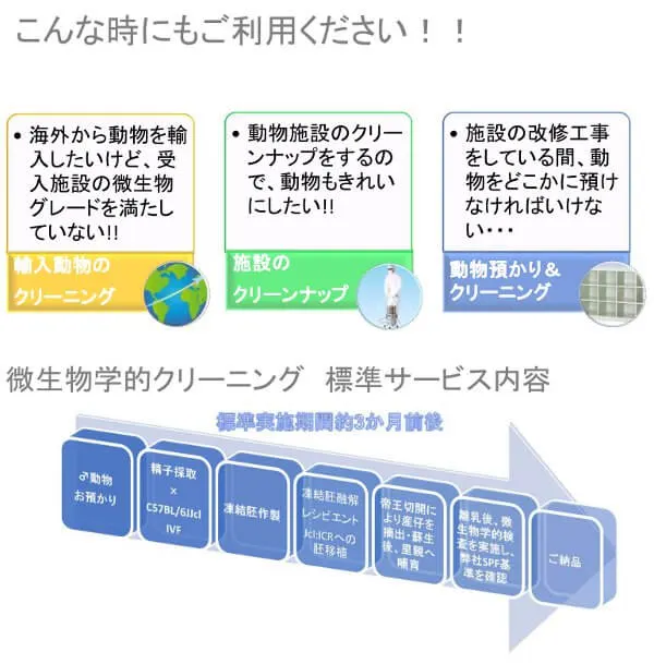 微生物学的クリーニング