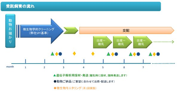 受託飼育の流れ