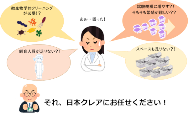 動物は手に入れたはいいが　→　日本クレアにお任せください。