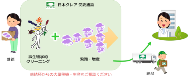 日本クレア受託生産サービスのご紹介