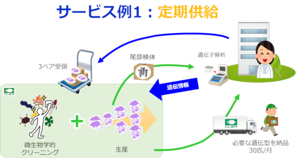 サービス例１：定期供給