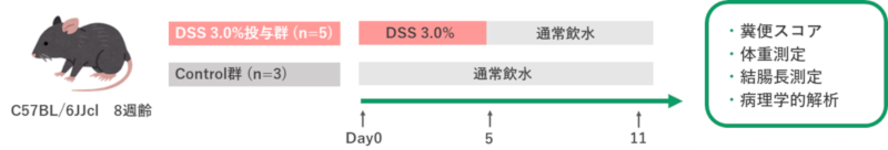 バックグラウンド・データ