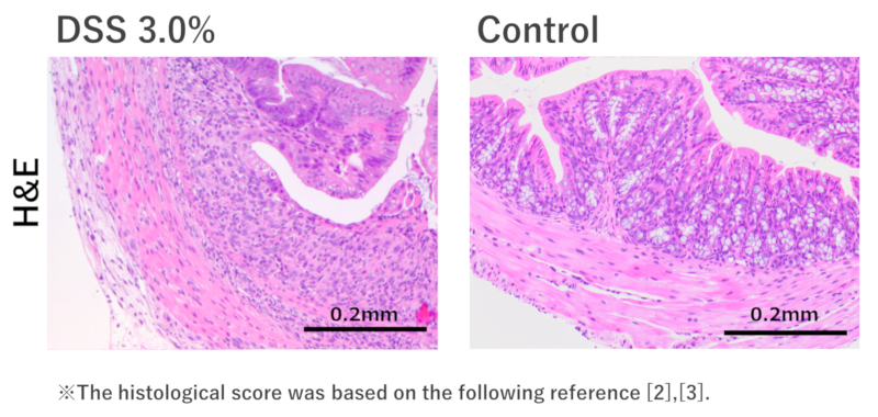 Histological analysis: