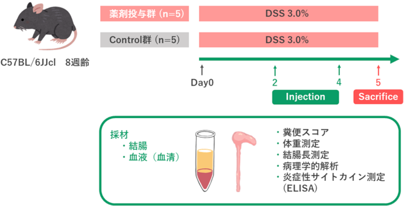 試験デザイン例