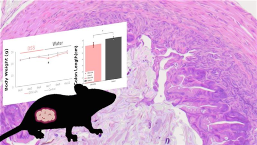 Background data-based colitis model in mice for drug discovery research：Introduction to CLEA Japan contract research services