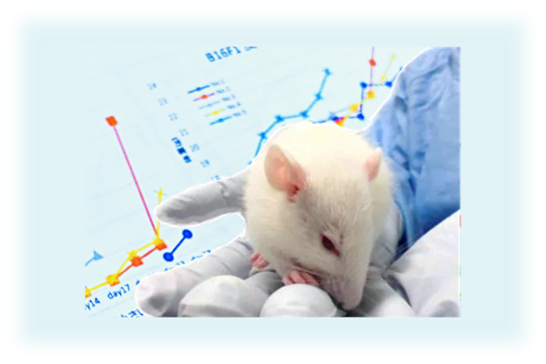 Syngeneic（担癌）マウスモデルデータのダウンロード｜日本クレア