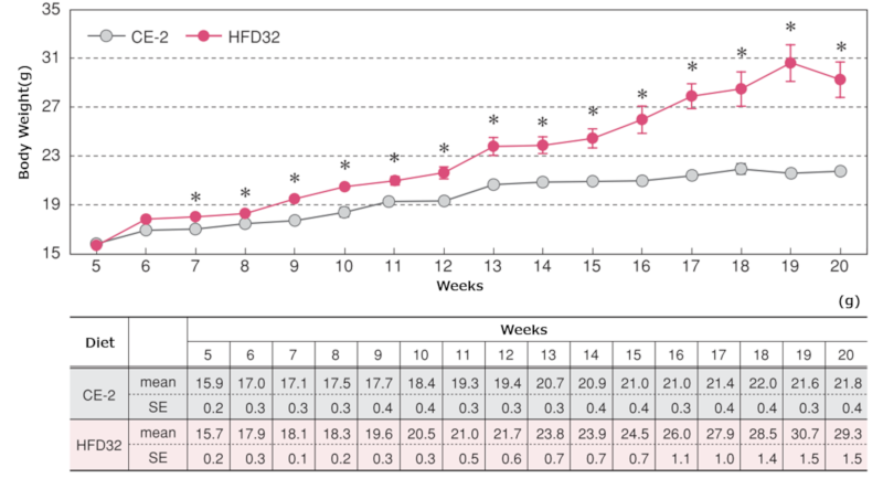 Body weight changes