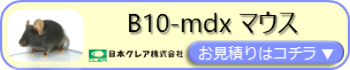 B10-mdx マウスお見積りフォームページ用バナー