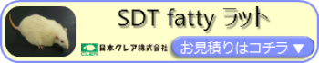 SDT fatty ラットのお見積りフォーム用バナー