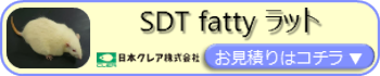 SDT fatty ラットお見積りフォームページ用バナー