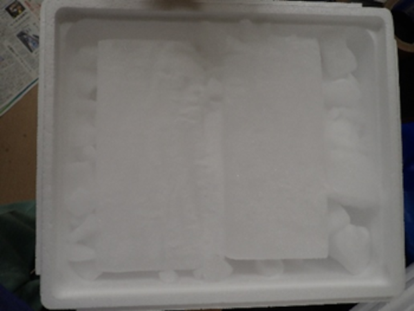 凍結保存の様子