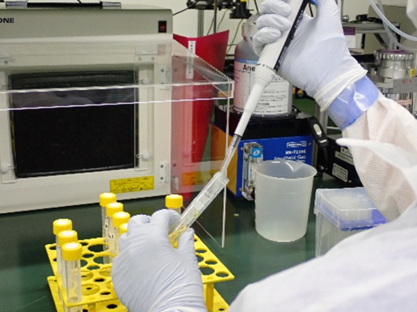 専門スタッフの作業の様子