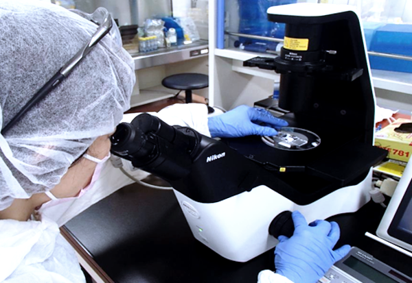 細胞カウントの様子