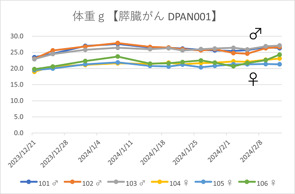 膵臓がん DPAN001 / 体重