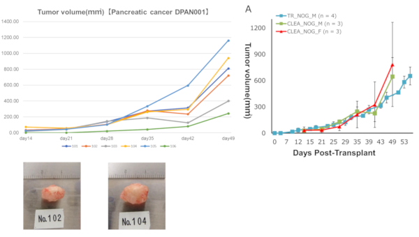 Tumor volume DPAN001