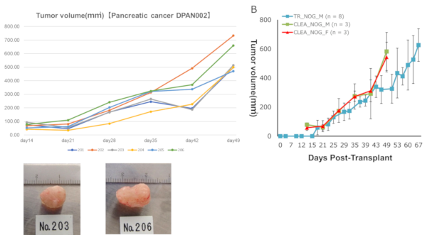 Tumor volume　DLUN002