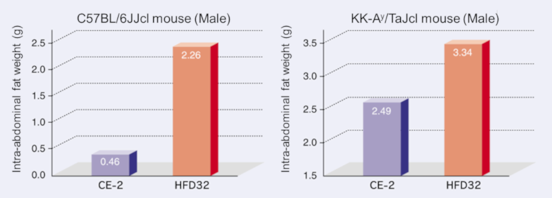 Intra-abdominal fat weight