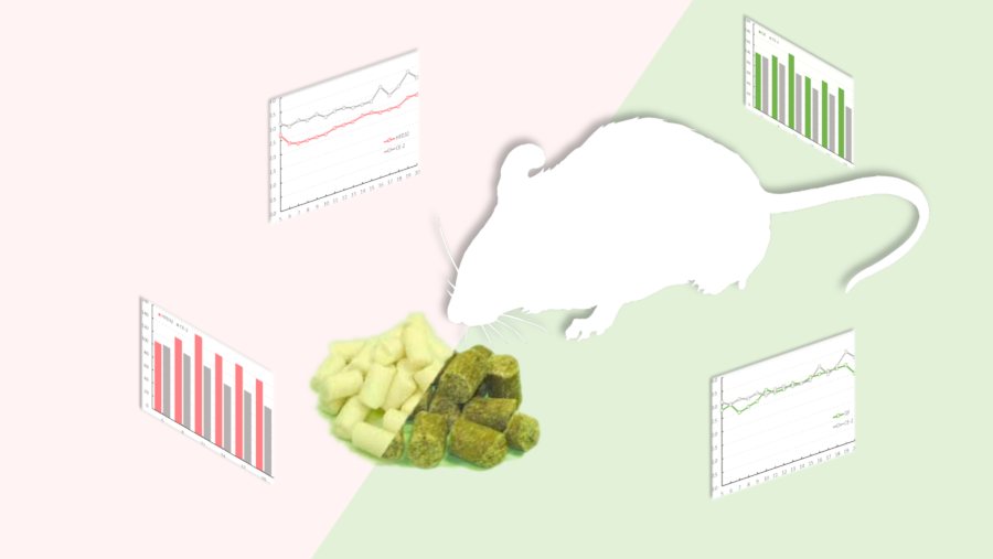 食事誘導肥満（DIO）マウス作出用High Fat Diet 32 とQuick Fatの比較