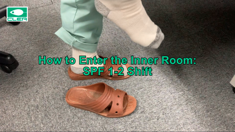 How to Enter the Inner Room: SPF 1-2 Shift