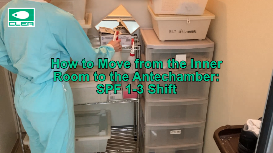 How to Move from the Inner Room to the Antechamber: SPF 1-3 Shift