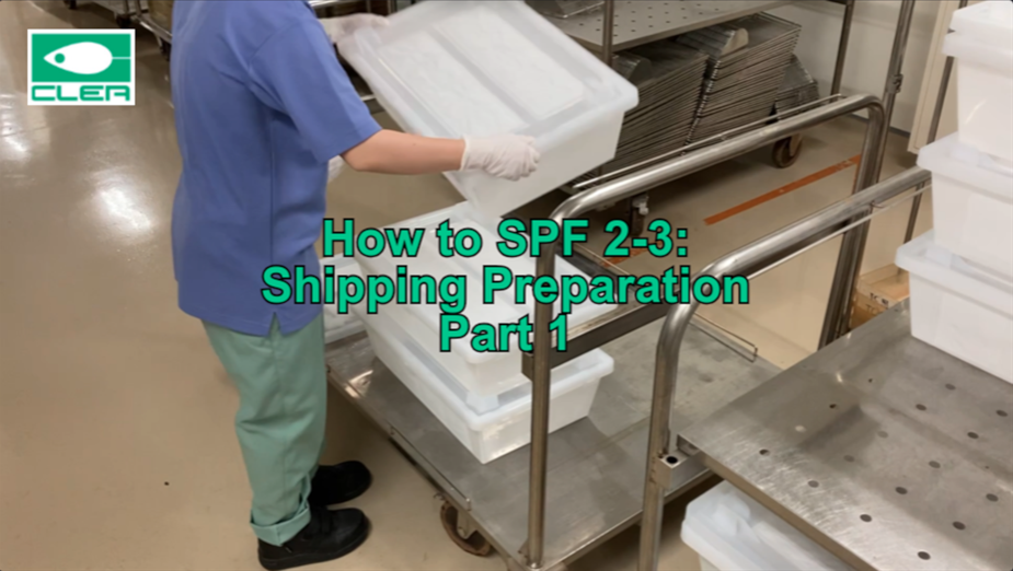 How to SPF 2-3: Shipping Preparation Part 1