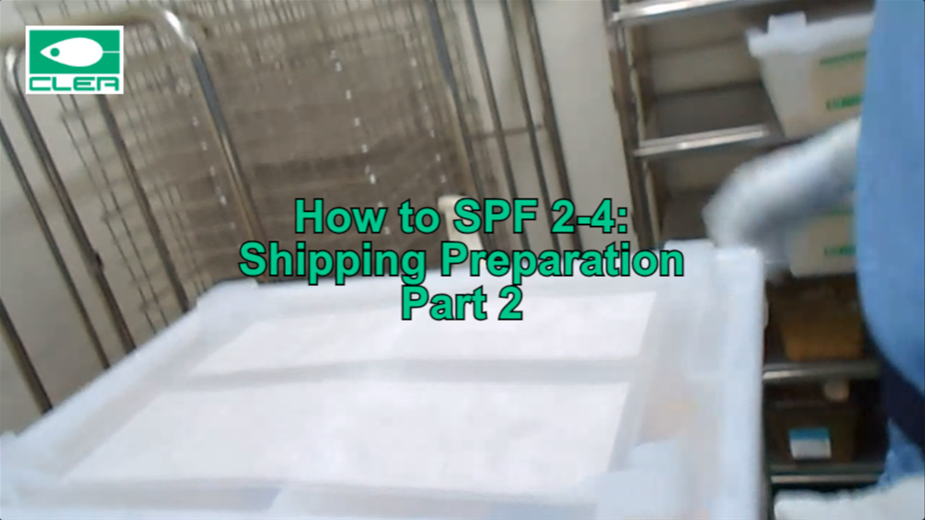 How to SPF 2-4: Shipping Preparation Part 2