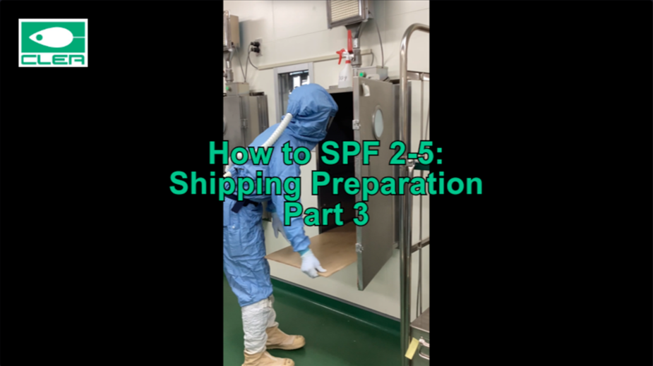 How to SPF 2-5: Shipping Preparation Part 3