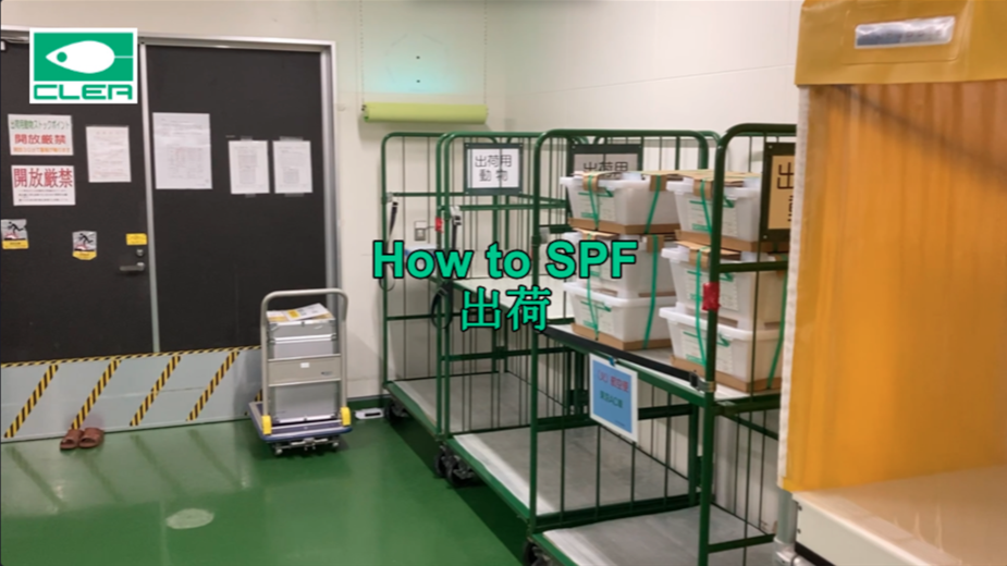 How to SPF Scene3-1　出荷