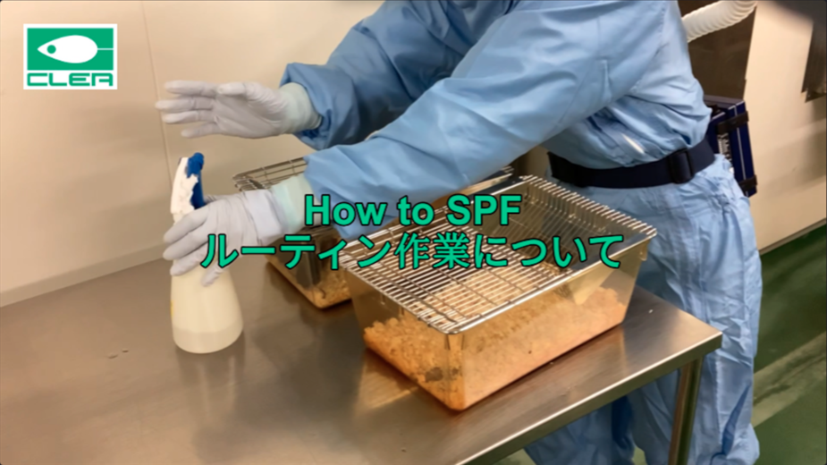 How to SPF Scene3-2　ルーティン作業について